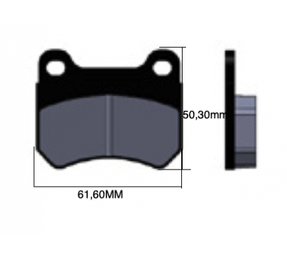 Plaquette de frein AR PCR parolin ,energy