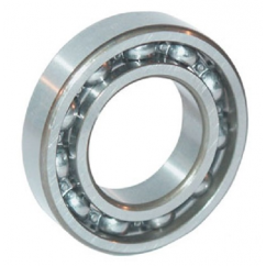 Roulement de balancier 6005 C3