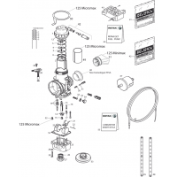 Gicleur secondaire de carburateur DELLORTO 14883002 